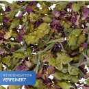 Griechischer Bergtee mit Rosenblättern Bio 80g...