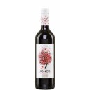 Ionos rot trocken 0,75l Cavino