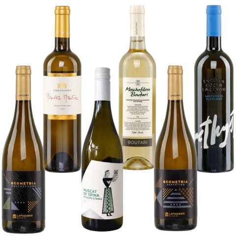 Weißwein Probierset trocken 6x 0,75